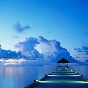 Meet your Posher, Dennis